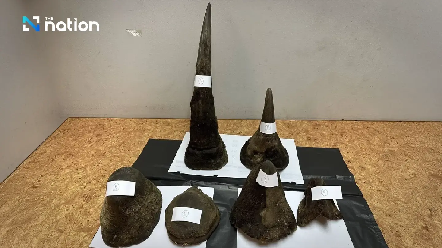 Vietnamese arrested in Bangkok for allegedly smuggling rhino horns to Laos