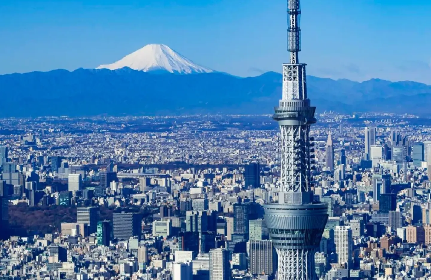 Tokyo Skytree lift malfunctions, trapping 20 people for about 5 hours