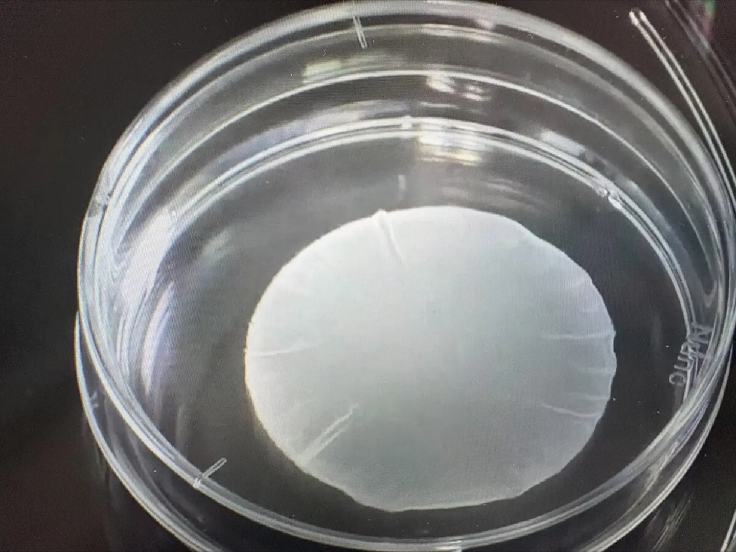 Japan panel oks medical products using iPS cells