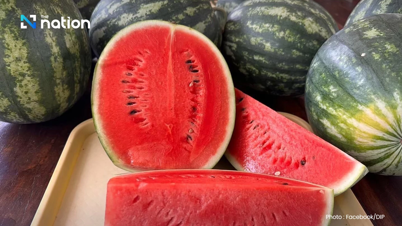 DIP registers ‘Yasothon Sweet Watermelon’ as GI, boosting premium Isan produce towards global markets