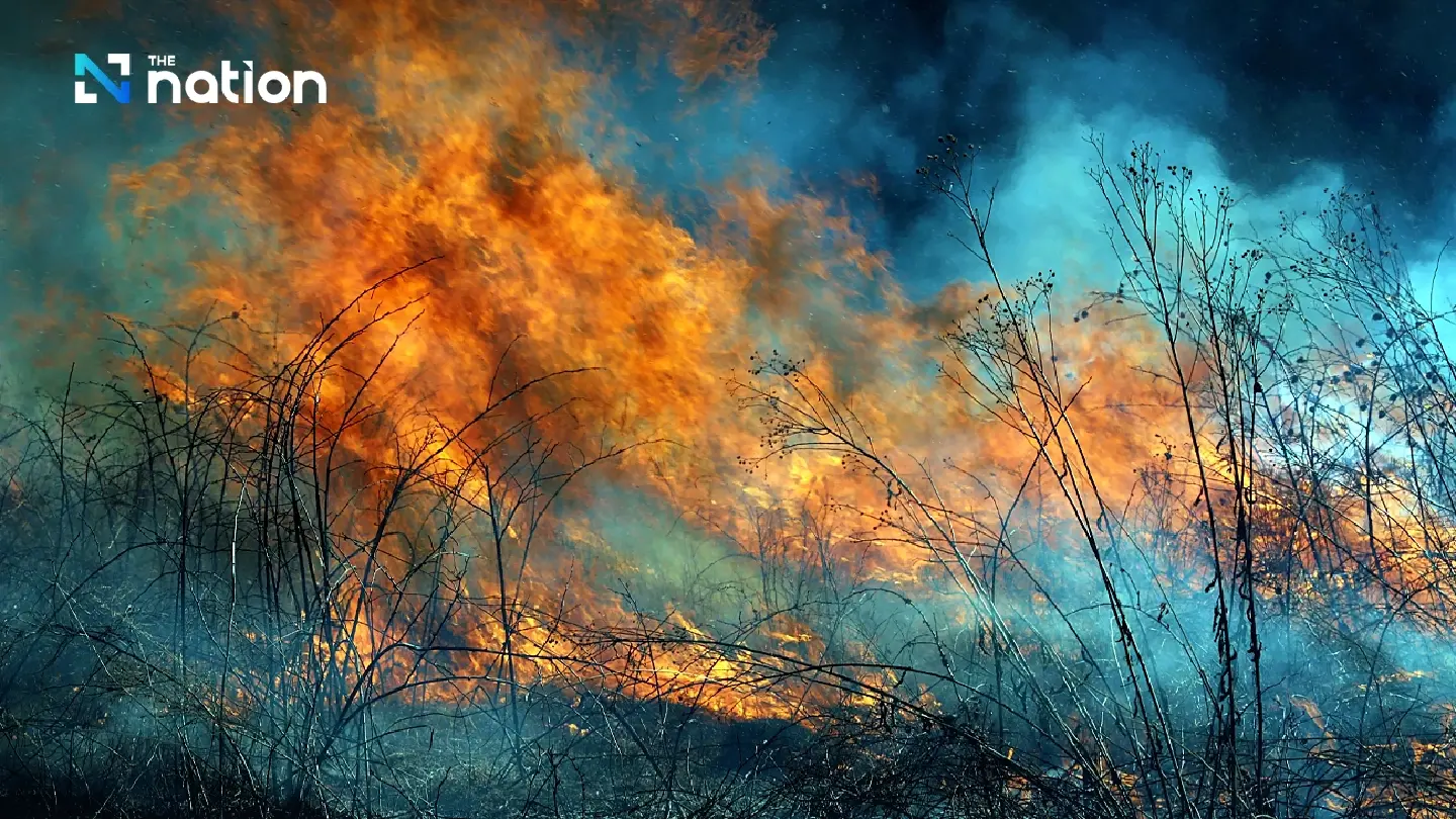 Thailand to use ASEAN channel to press neighbours to curb burning
