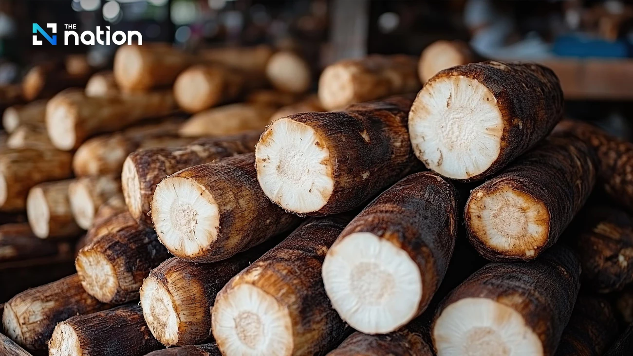Thailand Seeks to Conquer Japanese Market with Premium 'Gluten-Free' Cassava Starch