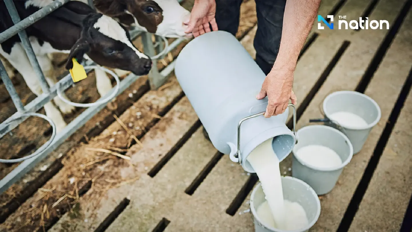 Dairy Crisis: Thai Government Summons Industry Leaders Over 200-Tonne Daily Milk Glut