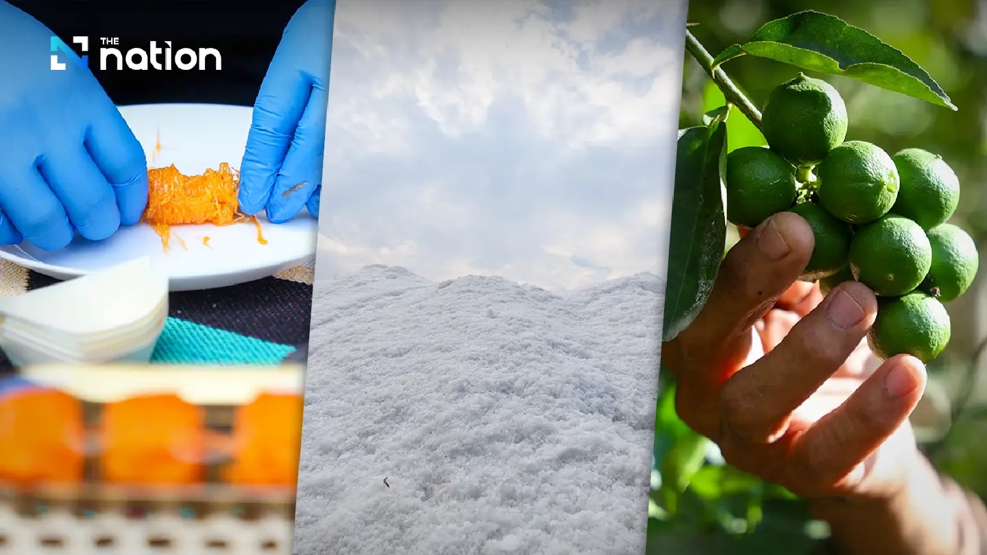 Phetchaburi showcases sweet, salty, sour in UNESCO gastronomy network