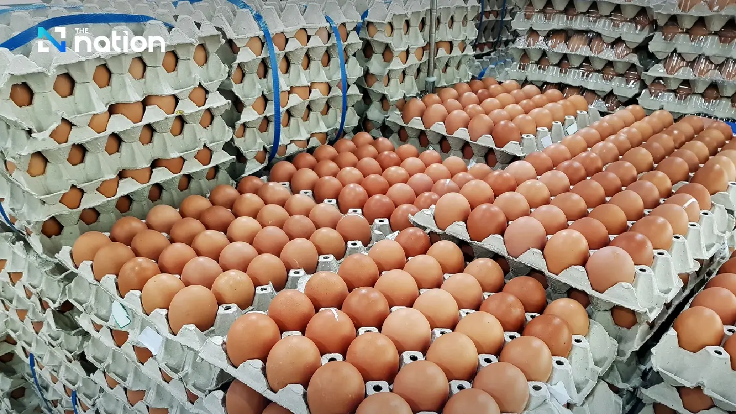Egg prices to rise 6 baht per tray from March 16