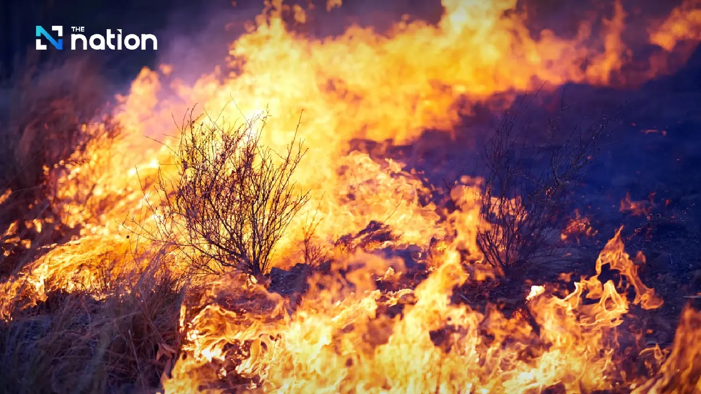 Forest burners face 20 years in jail as parks shut high-risk areas nationwide Forest burners face 20 years in jail as parks shut high-risk areas nationwide