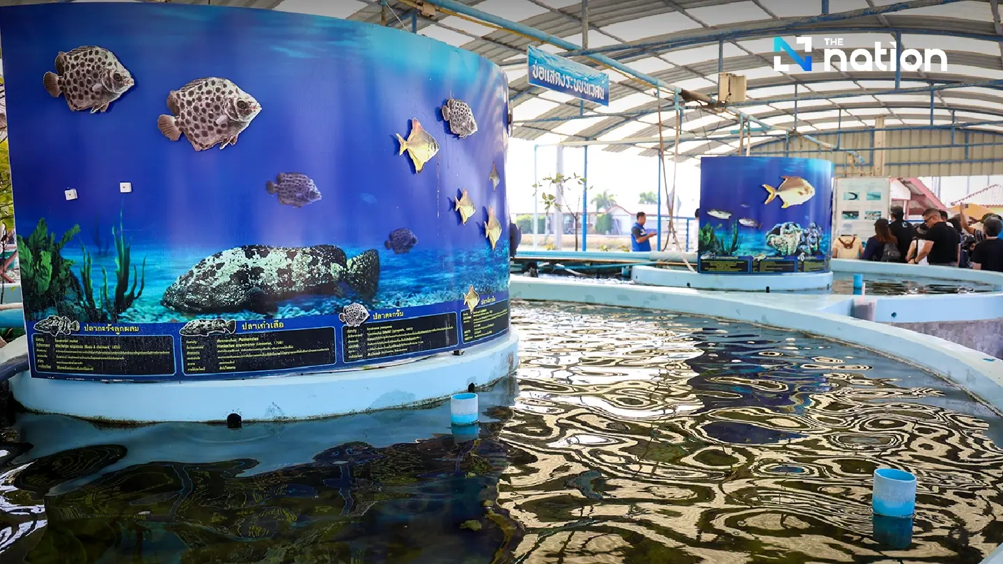 Phetchaburi marine farm showcases Queen Mother’s sustainable legacy