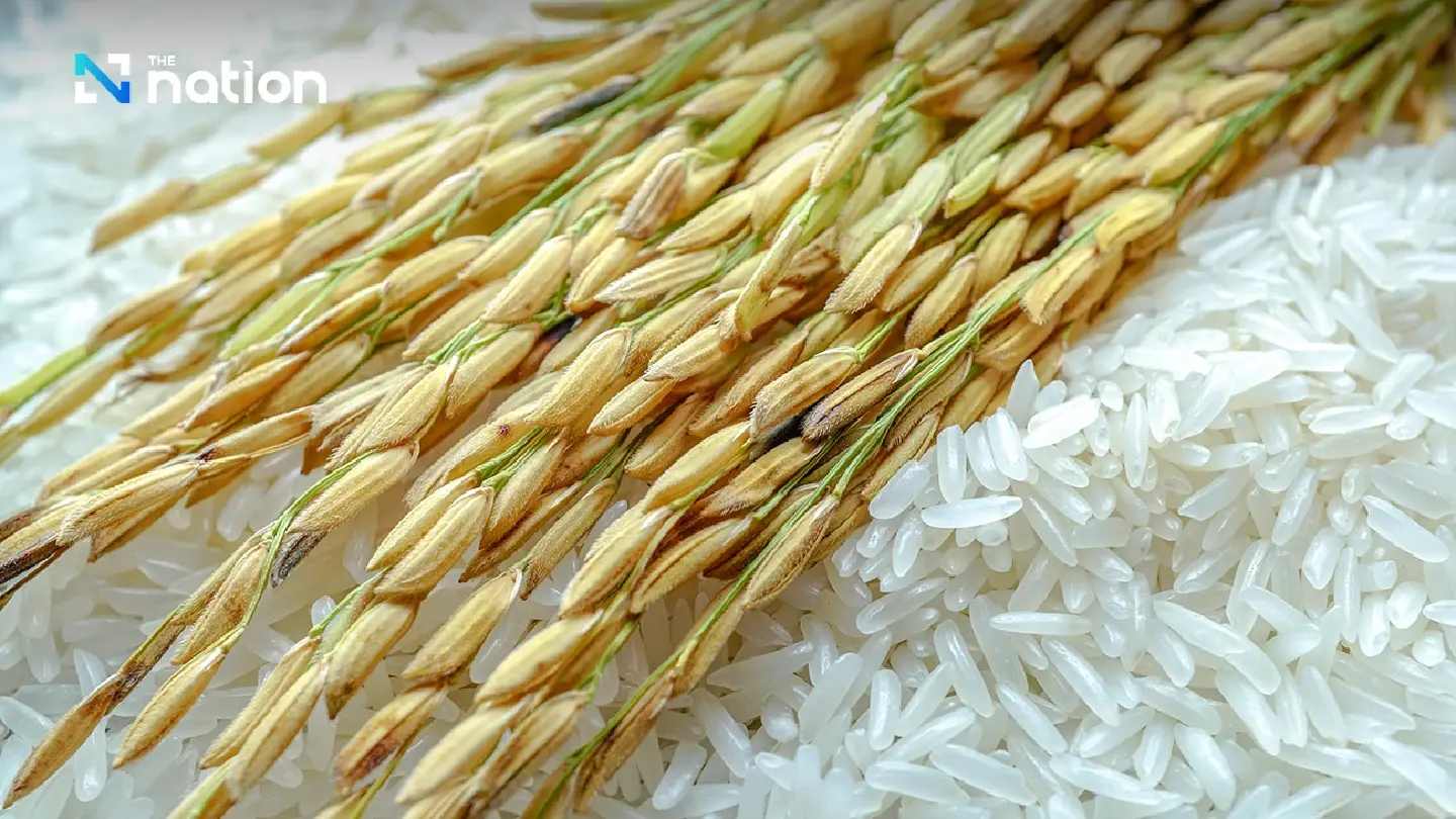 Middle East conflict threatens Thailand's rice export target