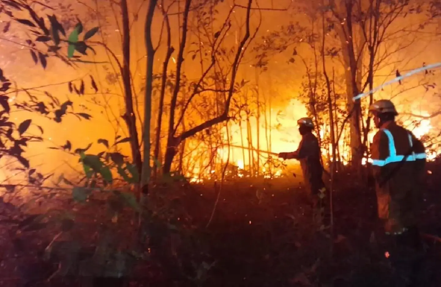 El Nino threat grows as fires spread further across Indonesia