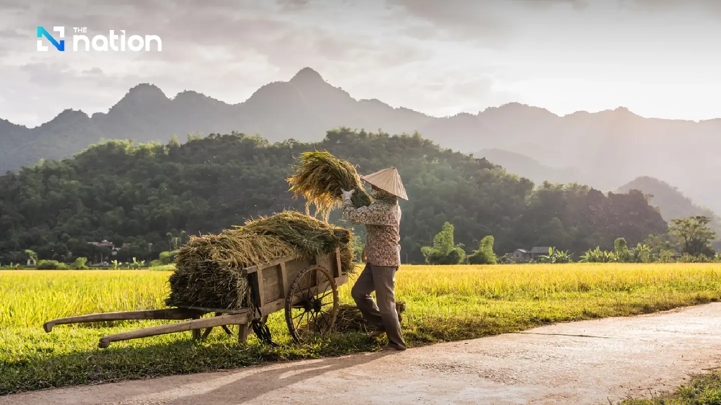 Vietnam overhauls rice industry for high-value, low-carbon global markets