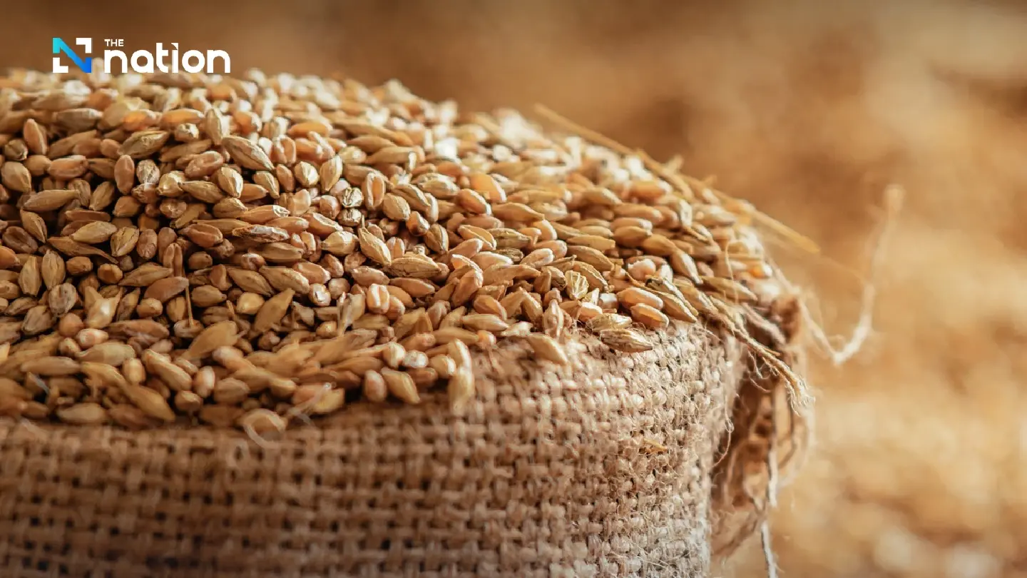 Thai farm incomes face pressure from global rice market shifts