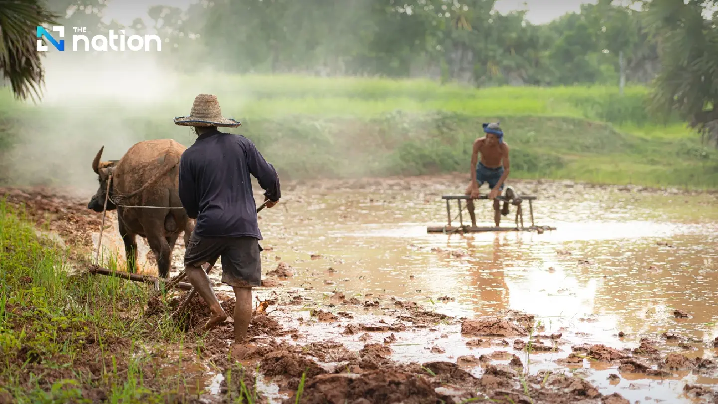Thailand warns farmers over worsening melioidosis threat