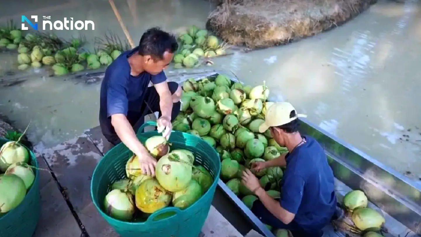 Malee Champions Sustainable Excellence in Thai Coconut Water Quality