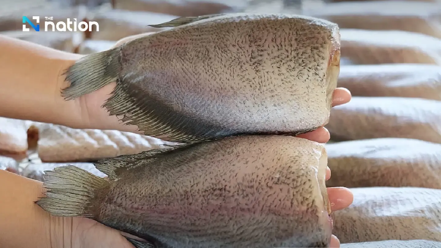 DIP registers Baan Phaeo snakeskin gourami as new GI product in Samut Sakhon