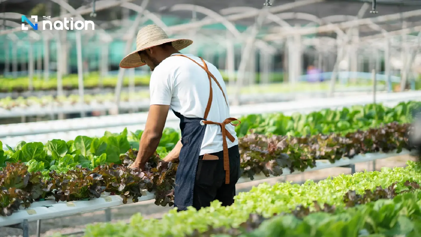 Organic farming becomes a new pillar in the global food trade