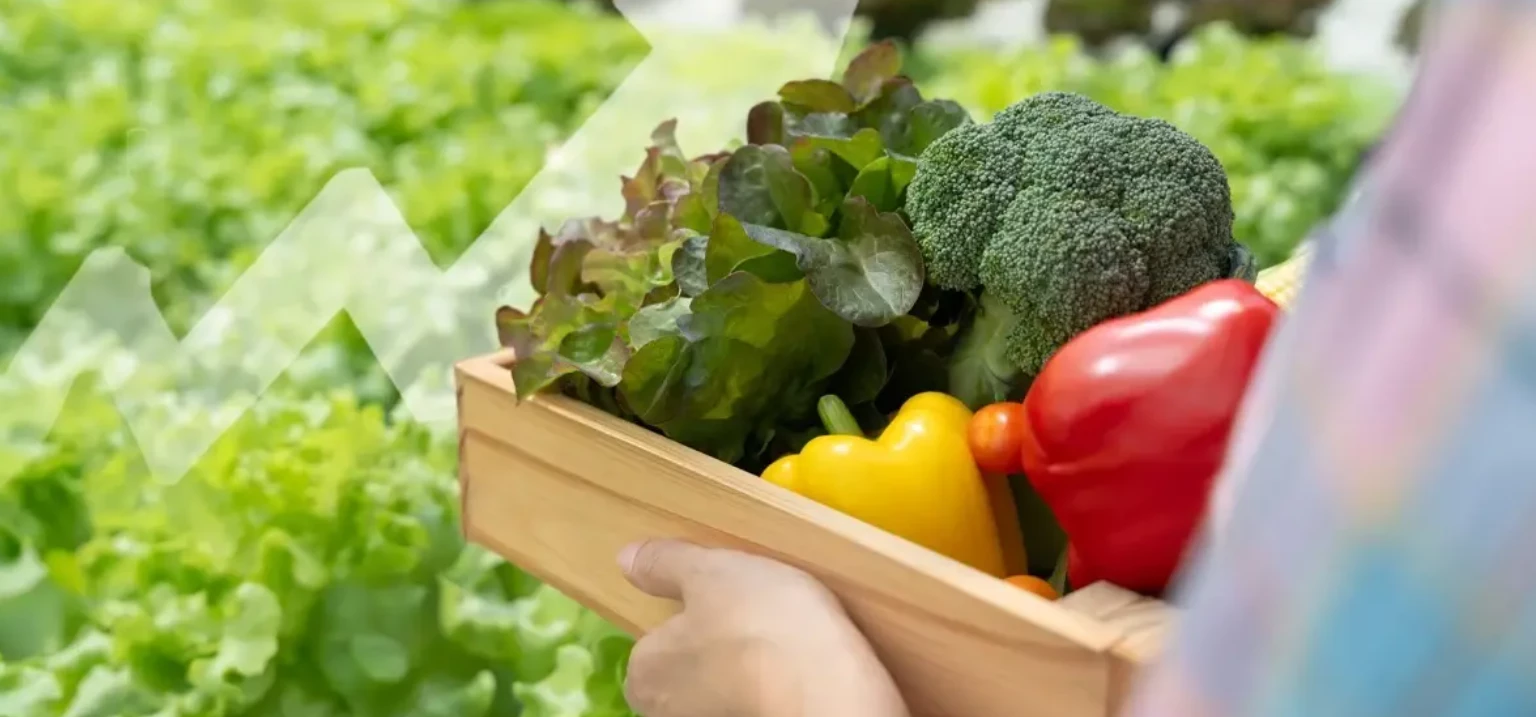 Organic farming becomes a new pillar in the global food trade