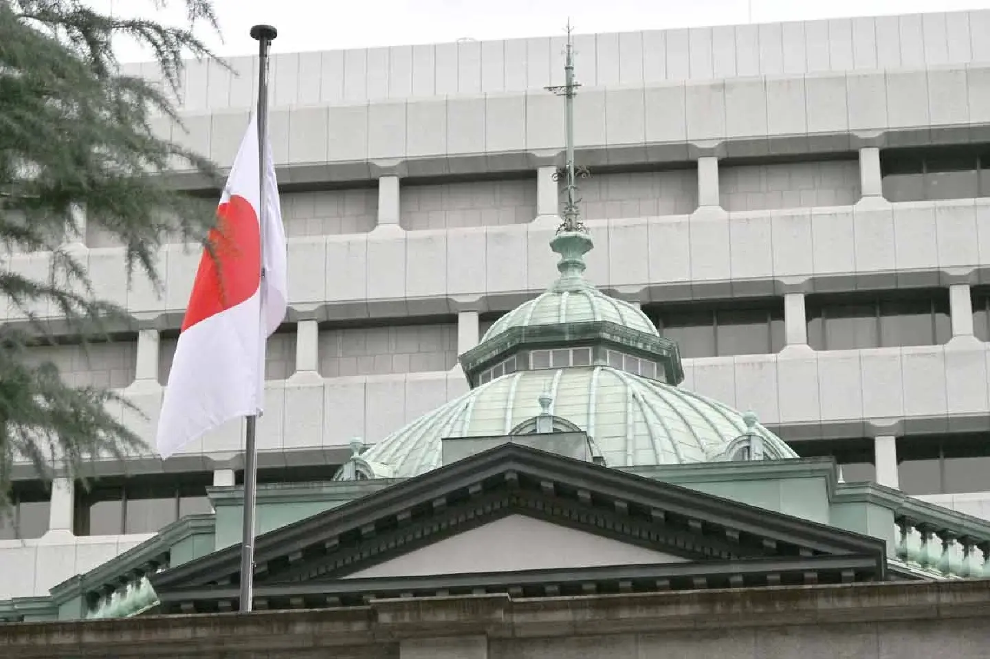 IMF recommends BOJ to continue gradual rate hikes IMF recommends BOJ to continue gradual rate hikes