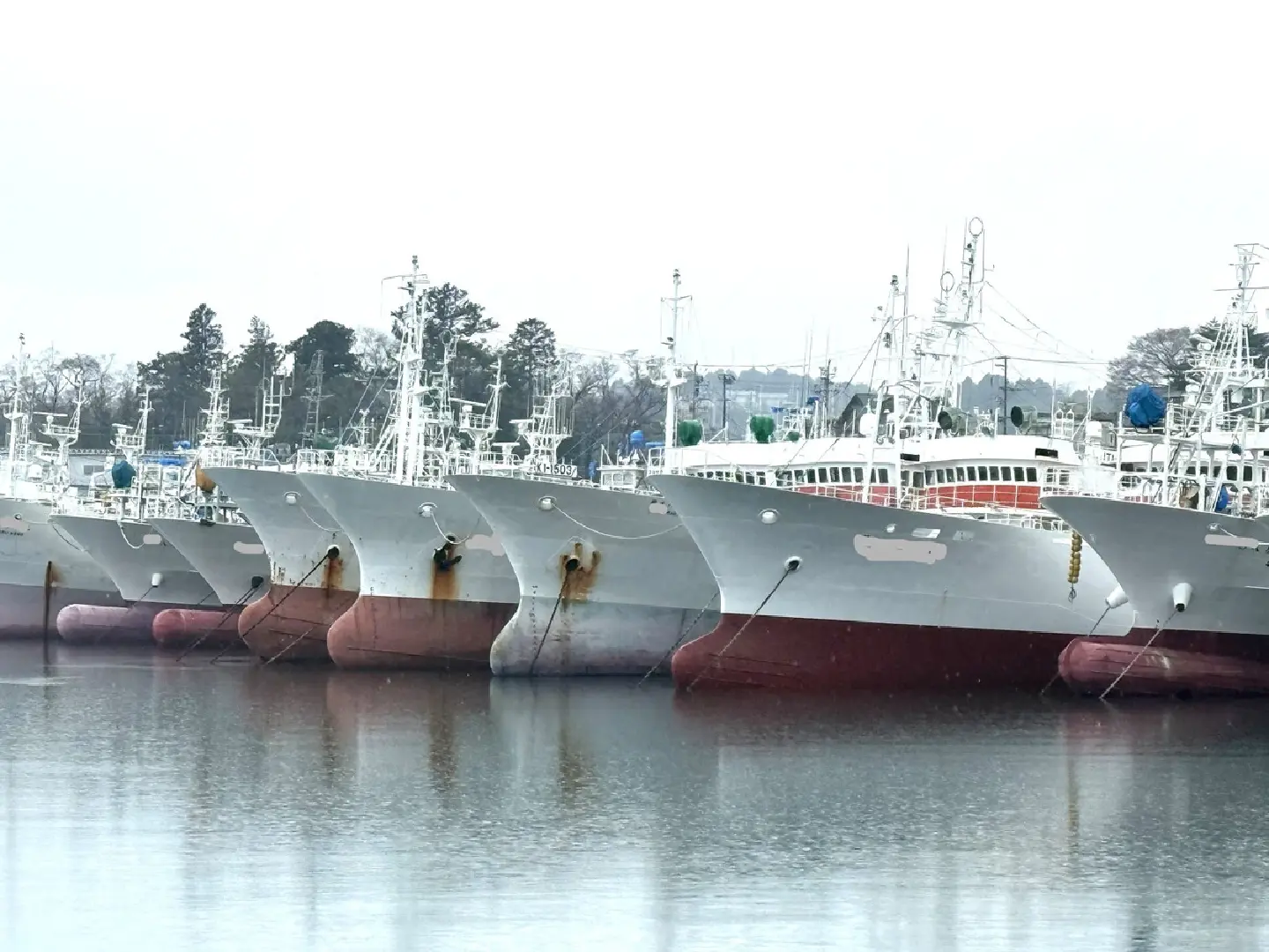 Japan's fishing industry buckles under Middle East oil shock