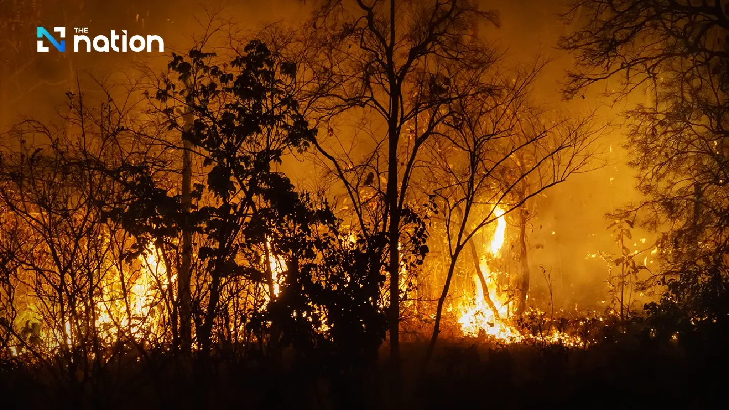 Think hard before burning forests: Offenders face up to 20 years in jail and a Bt2 million fine