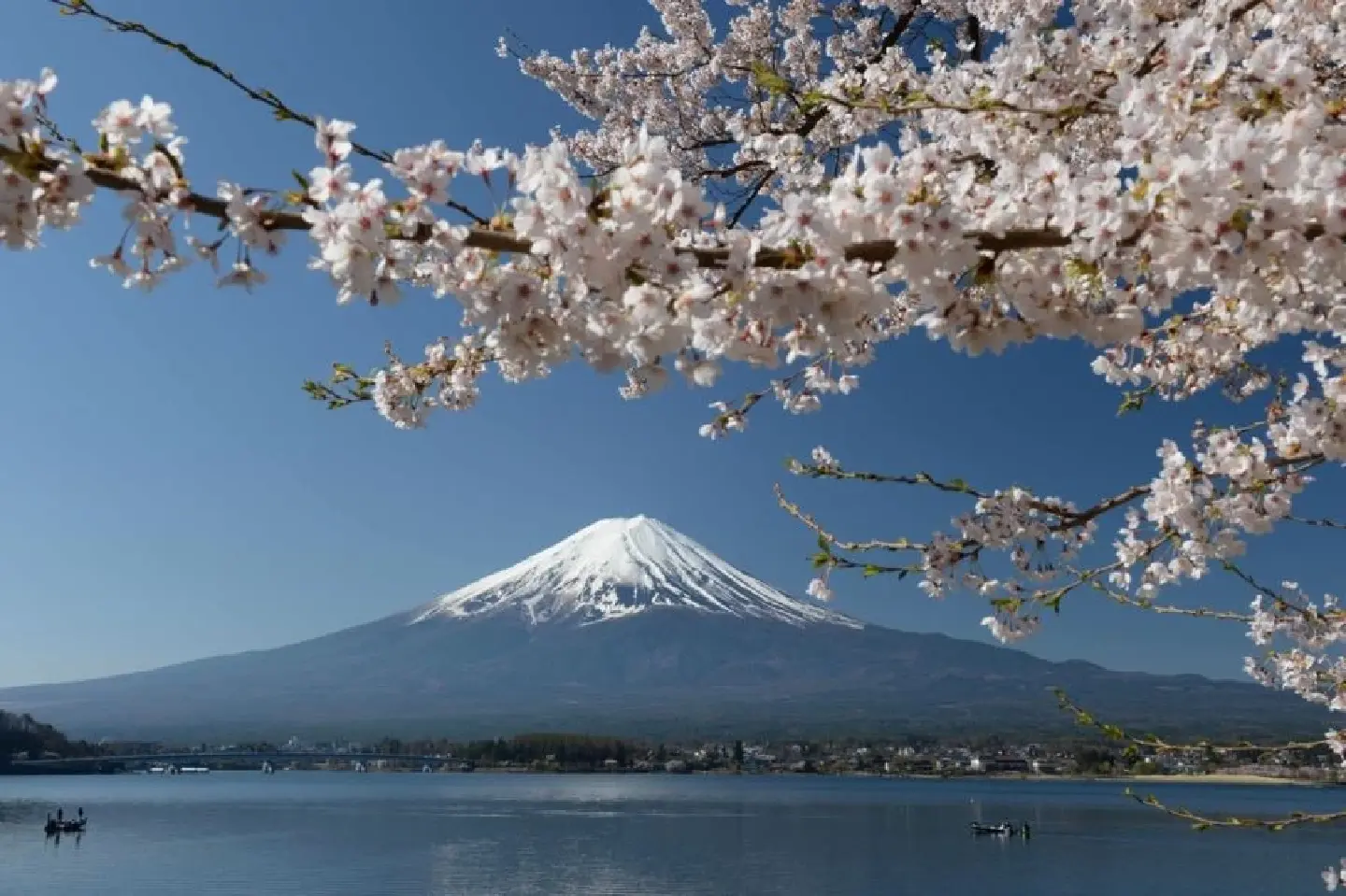 Rising Interest in Japan’s Traditional Culture and the Four Seasons