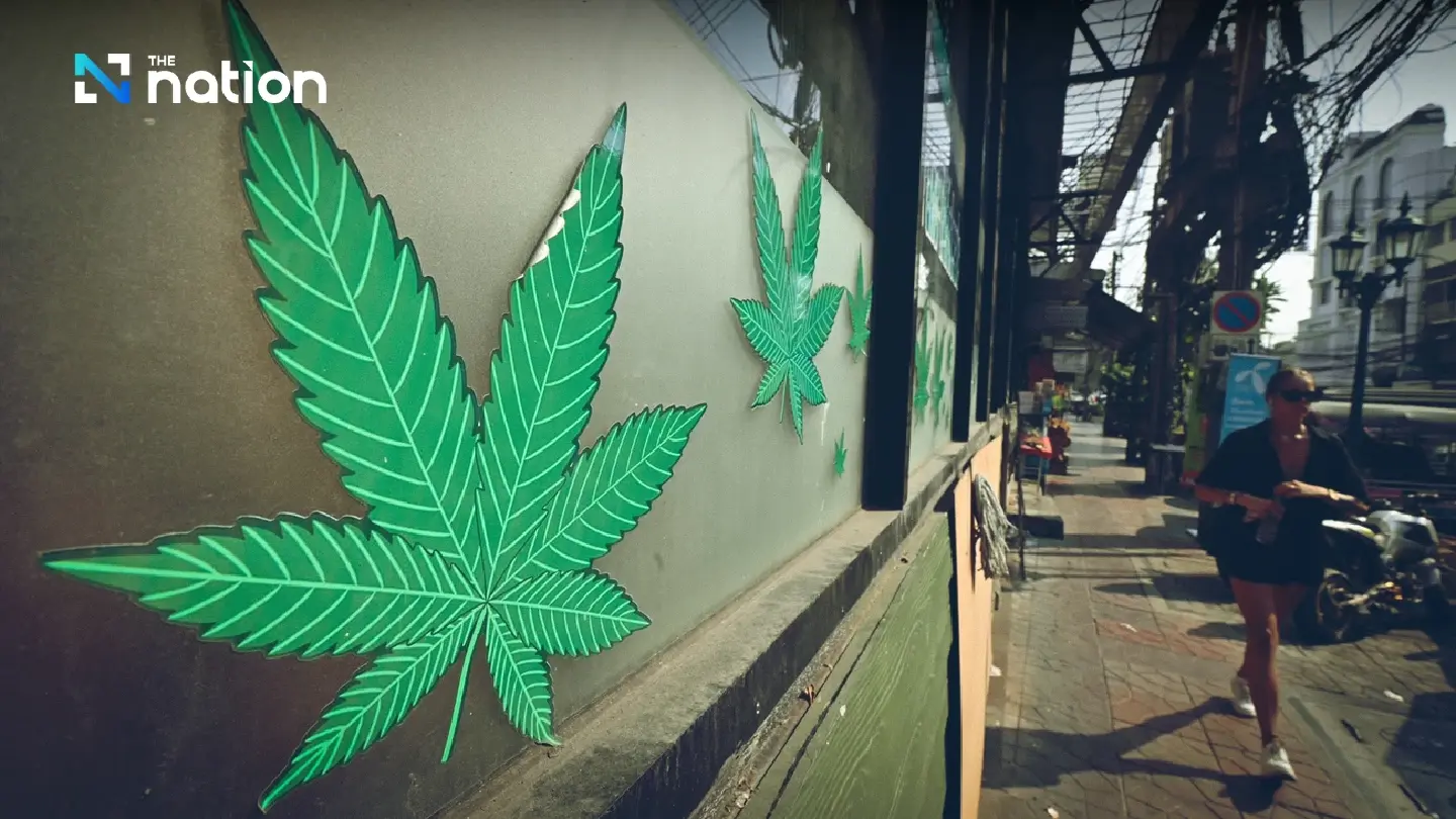 Thailand to force cannabis shops into medical model as numbers plunge