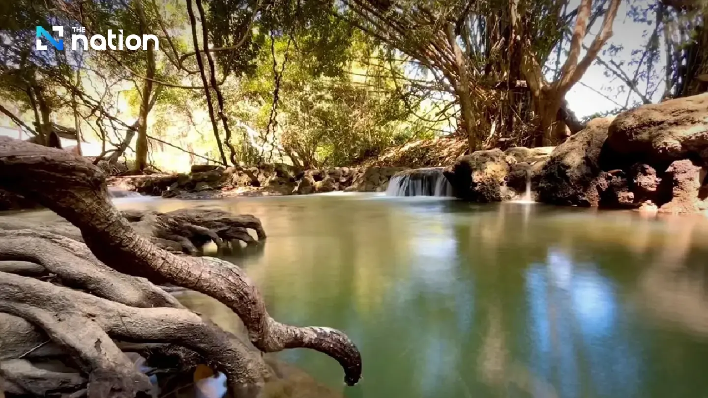 Cool Waters and Ancient Roots: Discover the ‘Unseen’ Beauty of Loei’s Tha Sawan Waterfall Cool Waters and Ancient Roots: Discover the ‘Unseen’ Beauty of Loei’s Tha Sawan Waterfall