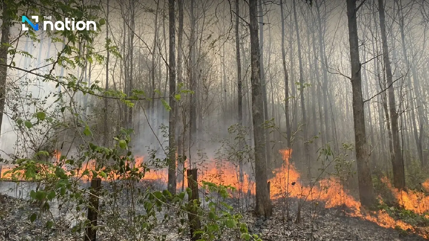 Entry banned in 9 Mae Hong Son forest reserves as PM2.5 worsens