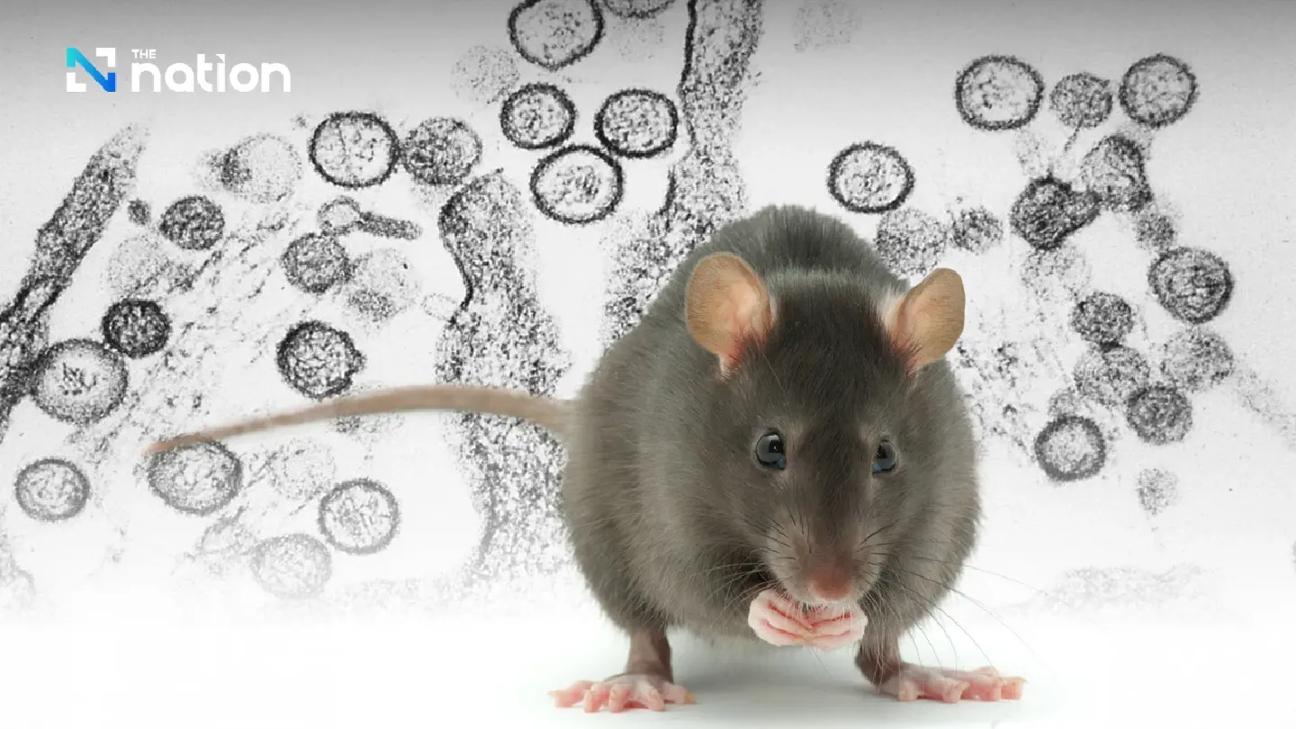 Hantavirus cruise scare — Dutch hospital quarantines 12 staff Hantavirus cruise scare — Dutch hospital quarantines 12 staff