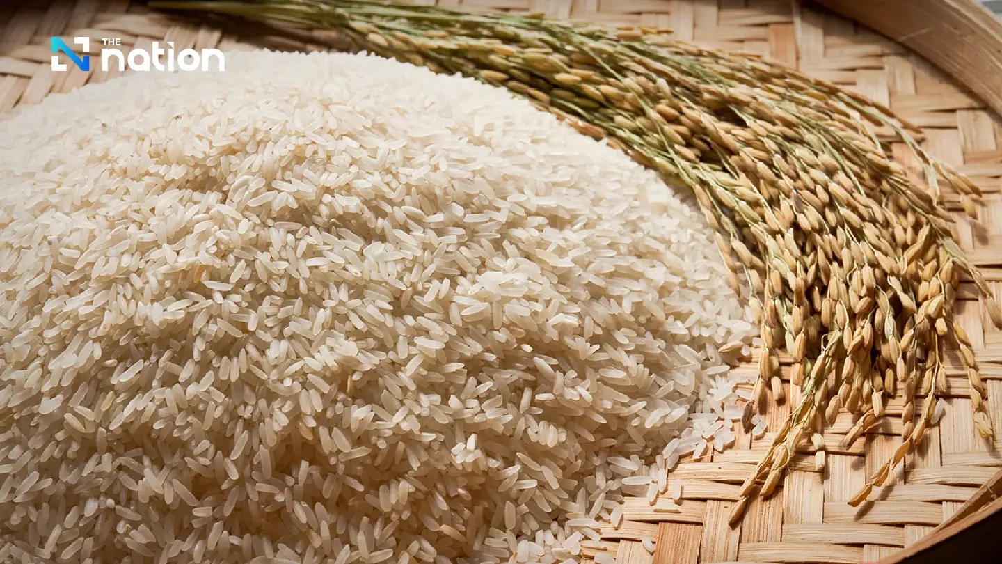 Exports disrupted — Thai rice loses ground in Middle East