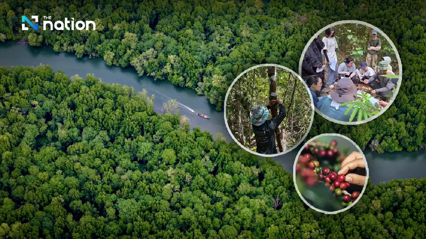 World Biodiversity Day: Doi Tung model turns forests into sustainable economic capital World Biodiversity Day: Doi Tung model turns forests into sustainable economic capital