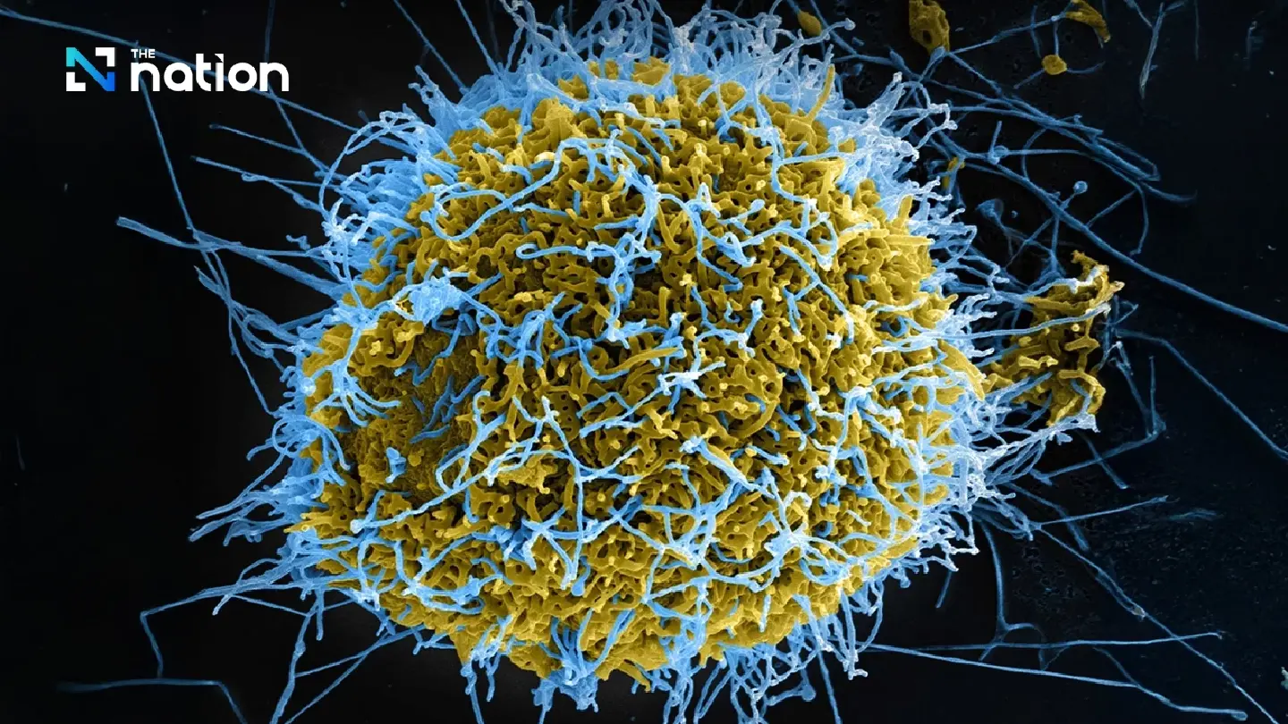 Ebola watch — Thailand stays on high guard against imported cases