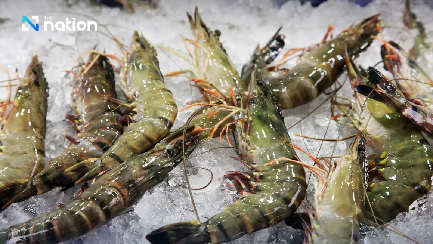 Malaysia to suspend imports of five Thai shrimp species from June 1 Malaysia to suspend imports of five Thai shrimp species from June 1