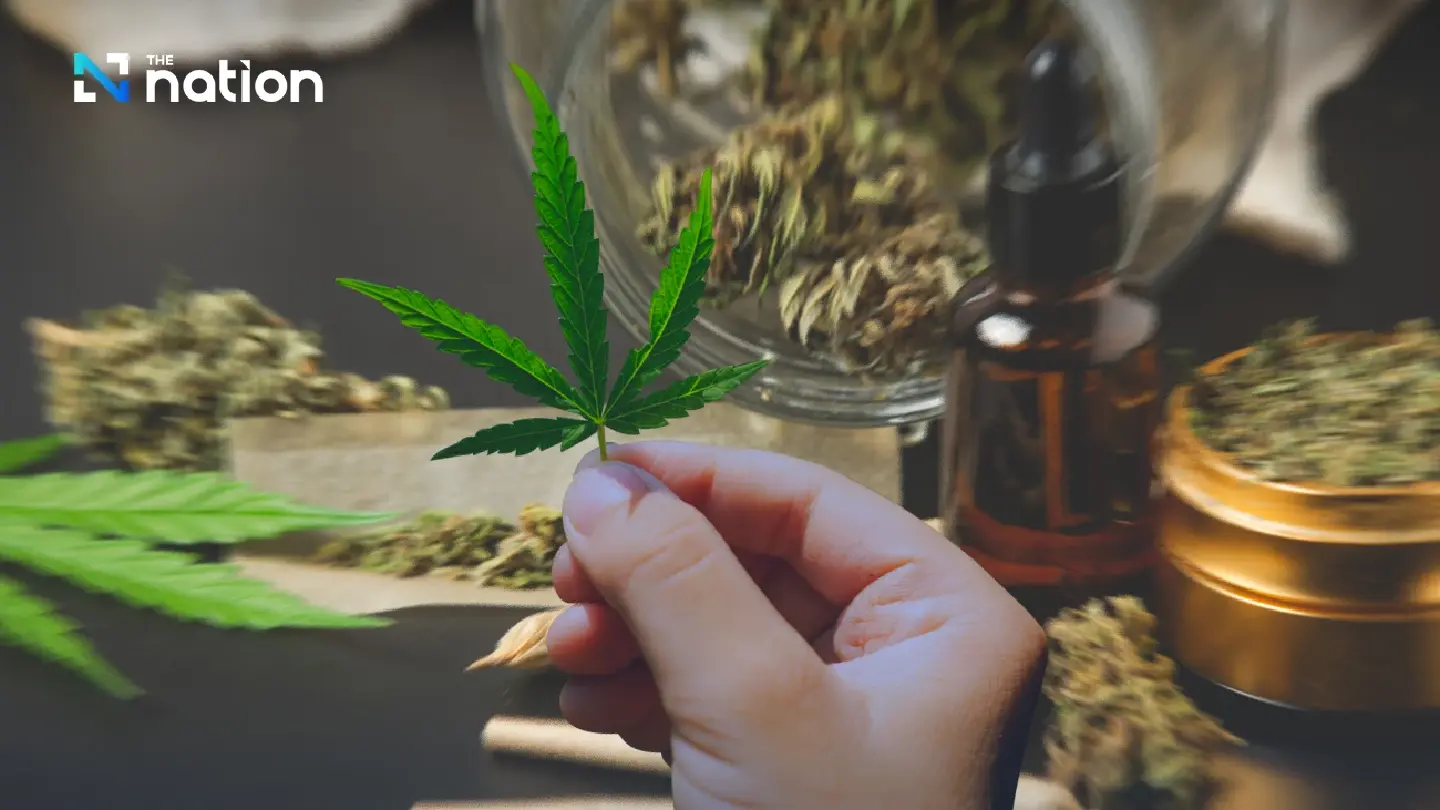 From Dispensaries to Clinics: Thailand Tightens Medical Standards for Cannabis From Dispensaries to Clinics: Thailand Tightens Medical Standards for Cannabis