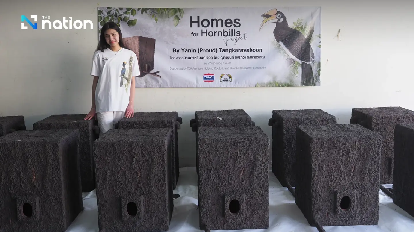 Thai student receives global awards for turning plastic waste into hornbill nests Thai student receives global awards for turning plastic waste into hornbill nests