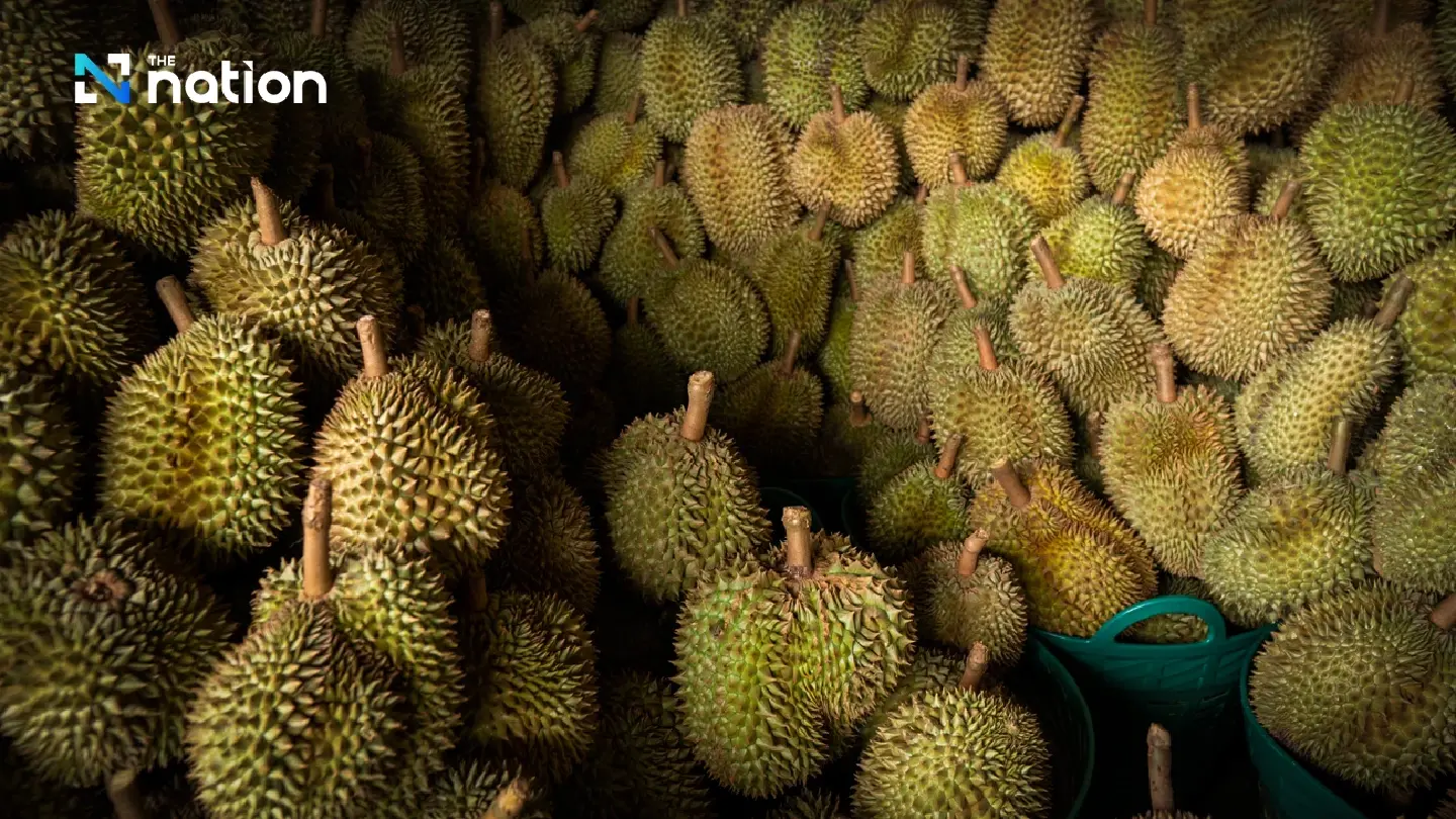 Thailand cracks down on storm-fallen durians to protect export quality