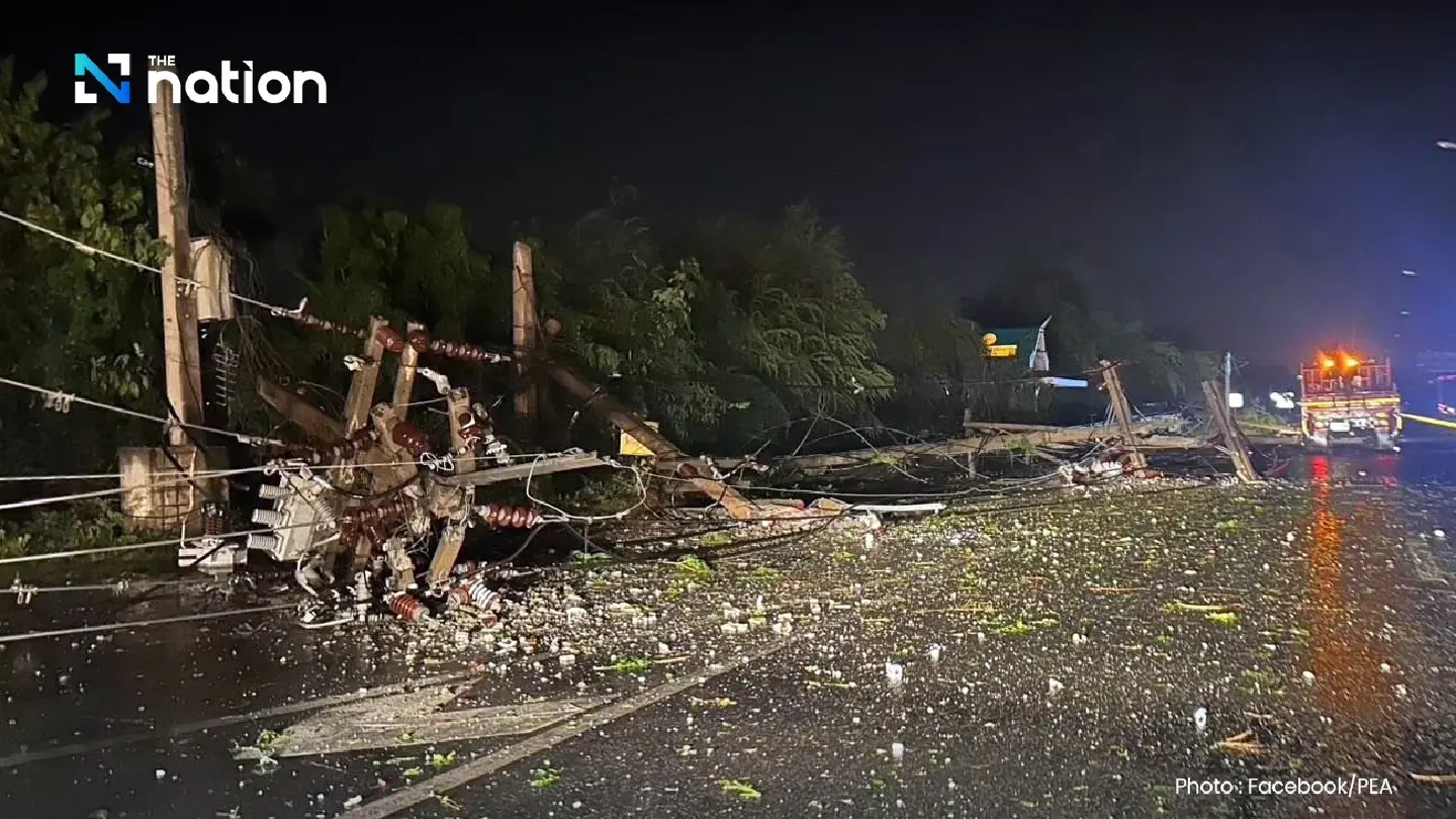 Elderly woman killed as summer storms bring down power poles