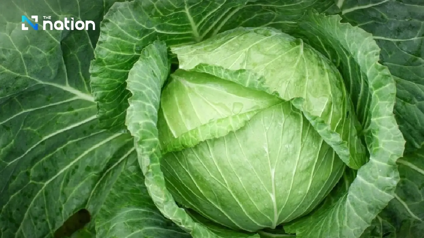 Raw vegetable parasite risk sparks health warning as celery, mint top contamination list