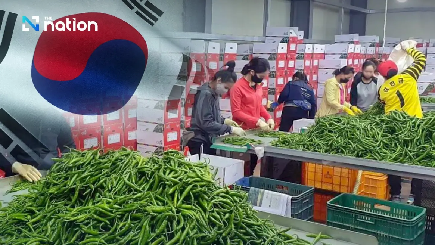 South Korea halts seasonal worker intake from four Thai provinces