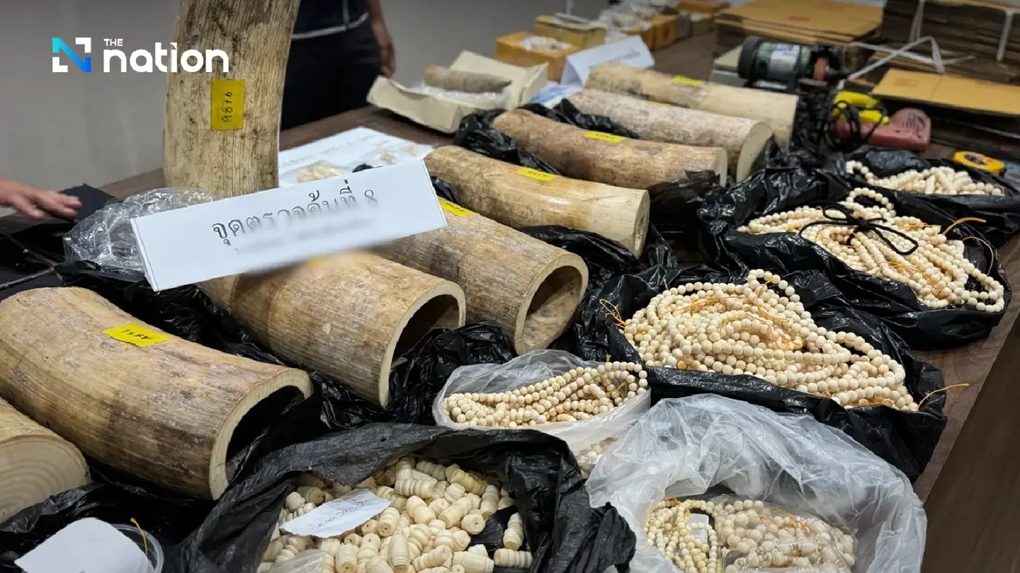 Ivory network busted — CIB seizes B10m haul in seven-province raids
