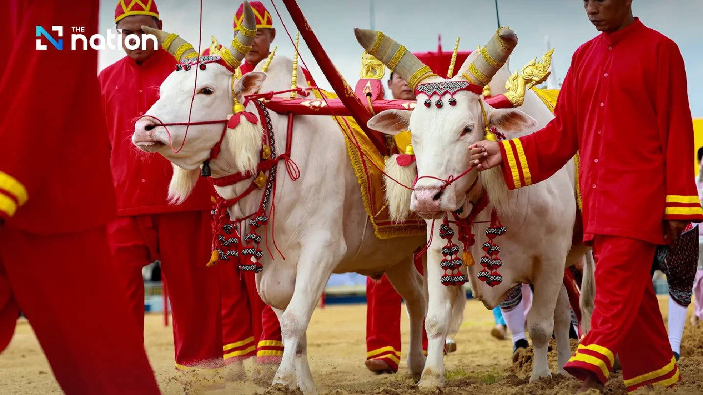 Royal Ploughing Ceremony returns with centuries-old traditions