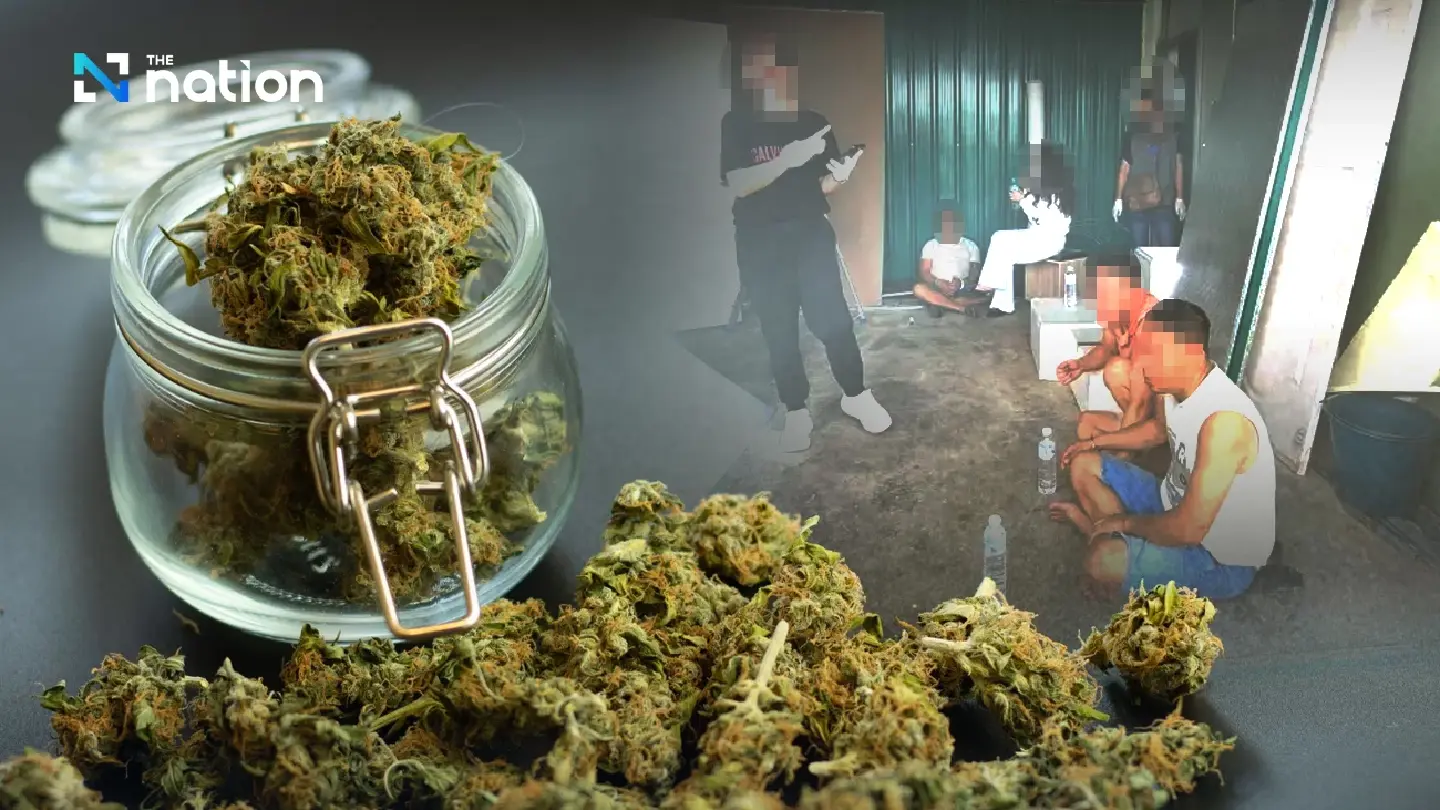 Police, FDA raid Bangkok warehouse, arrest 4 Vietnamese over illegal cannabis production Police, FDA raid Bangkok warehouse, arrest 4 Vietnamese over illegal cannabis production
