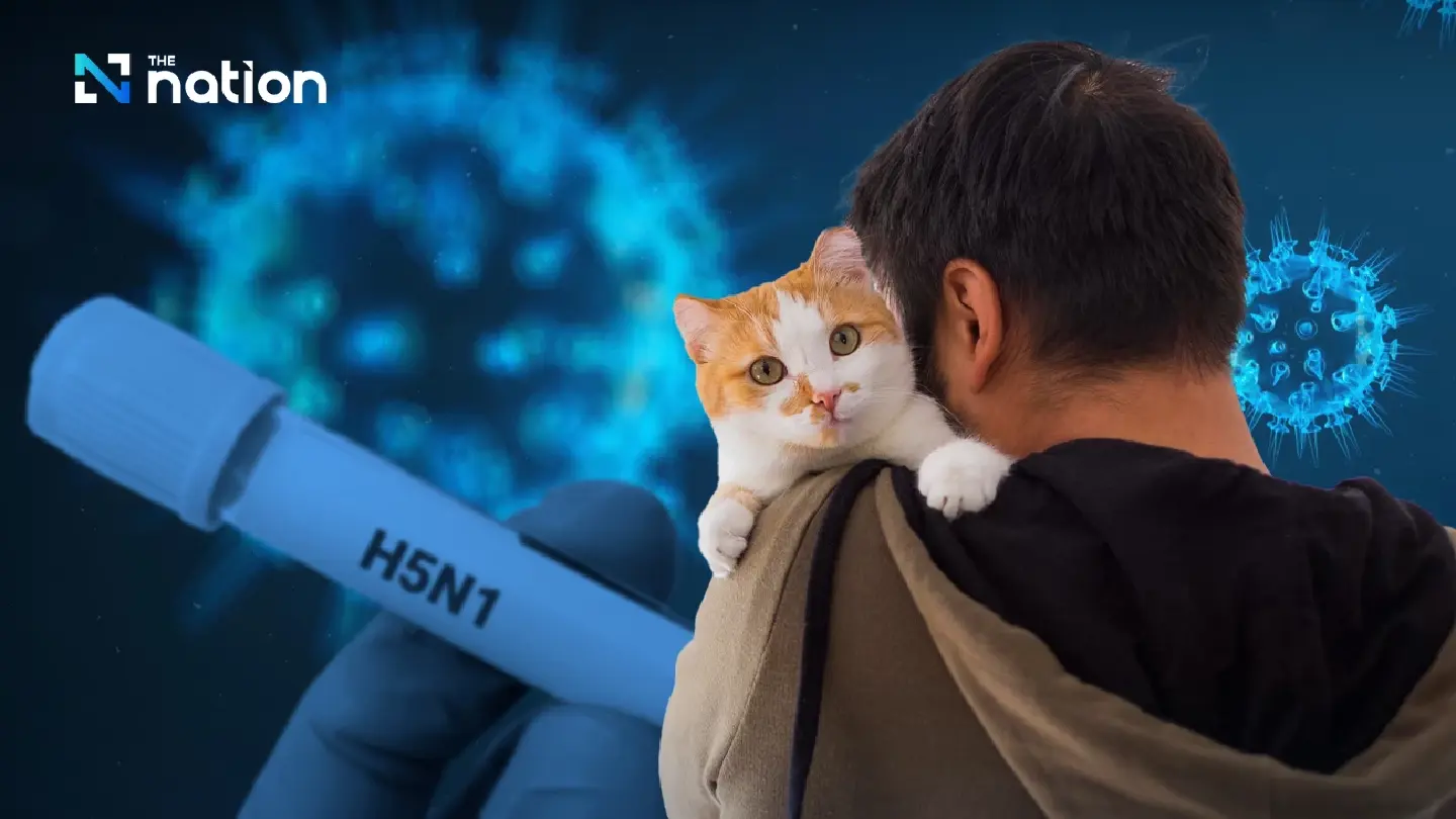US confirms first evidence of H5N1 bird flu spread from cats to humans