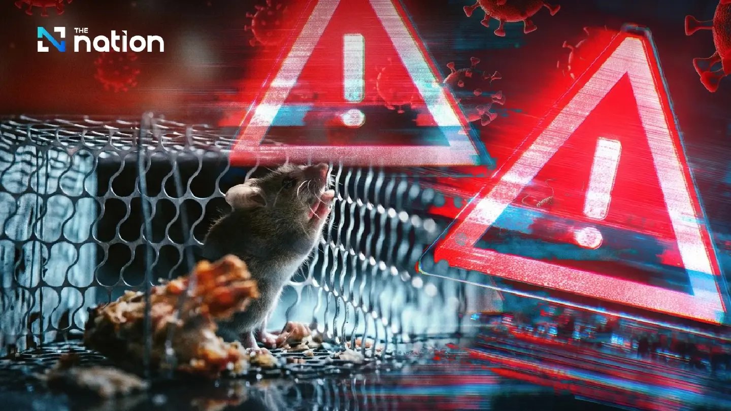 Hantavirus in focus: what Thailand knows so far after cruise ship cluster abroad