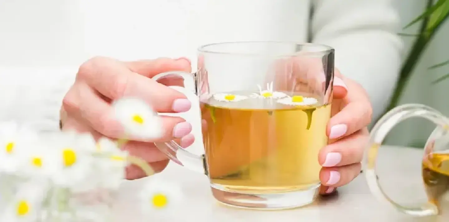 International Tea Day turns focus to sustainable production and trade