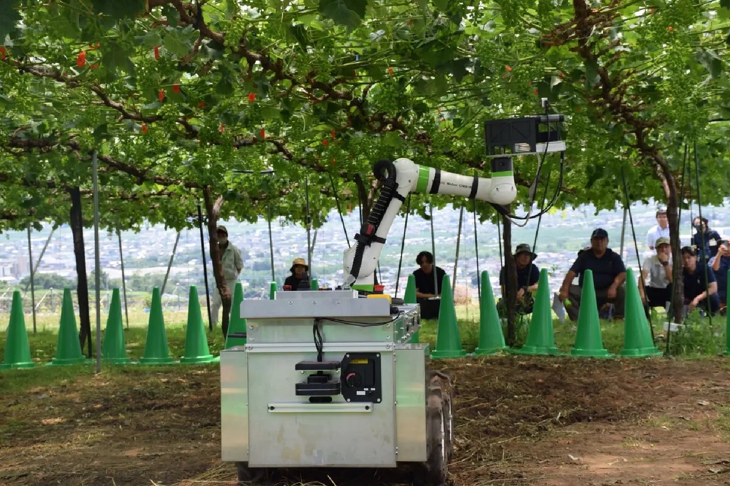 Robot to support grape cultivation demonstrated in Central Japan