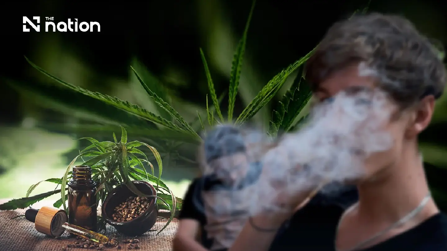 Cannabis policy reviewed amid widespread sales and legal loopholes Cannabis policy reviewed amid widespread sales and legal loopholes