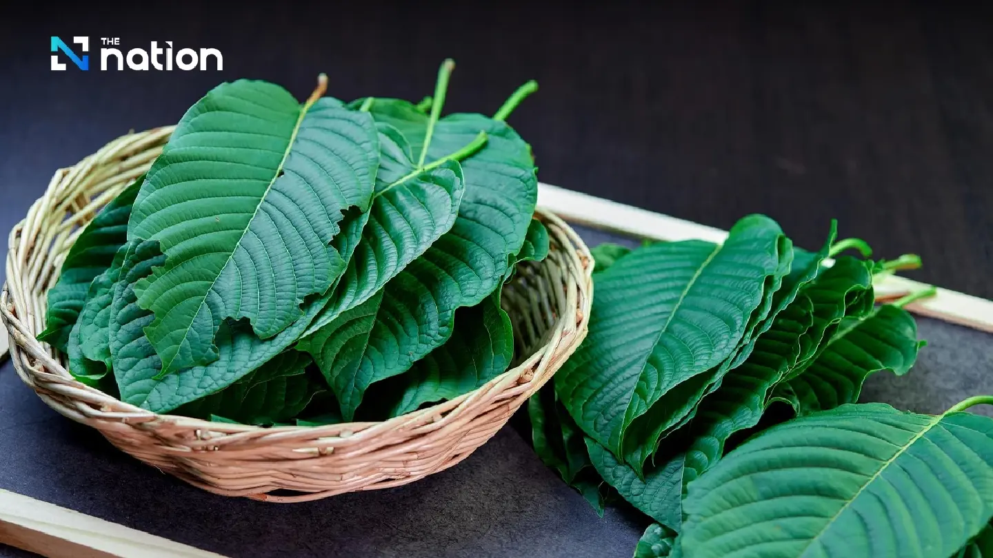 DTAM advances five strategies to promote Thai kratom globally