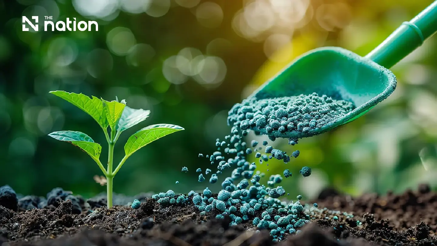Smart Fertiliser Scheme Leads Effort to Cut Thai Farming Costs