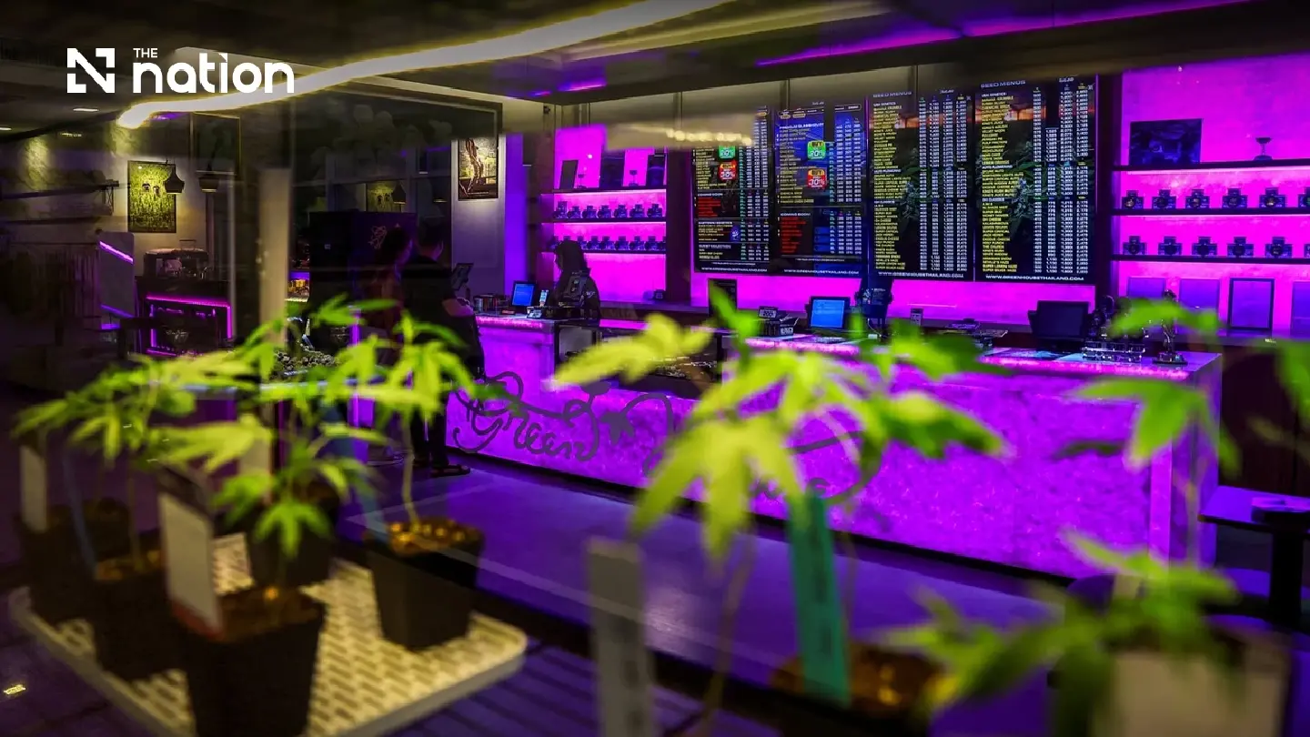Thai DTAM tightens penalties for cannabis shop rule breaches Thai DTAM tightens penalties for cannabis shop rule breaches