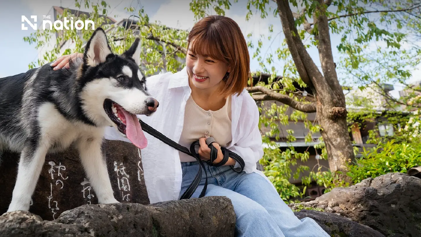 China’s pet-friendly boom opens new export window for Thai pet food makers China’s pet-friendly boom opens new export window for Thai pet food makers